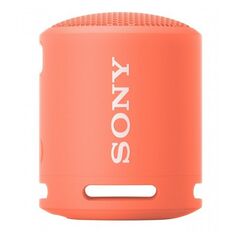 SKAĻRUŅI SONY SRSXB13P.CE7