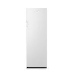 IEBŪVĒJAMĀS SALDĒTAVAS GORENJE FN4172CW