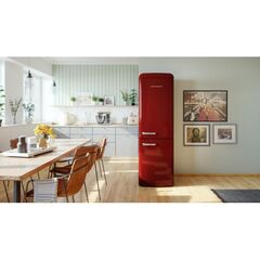 LEDUSSKAPJI GORENJE ONRK619DR