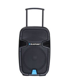 КОЛОНКИ BLAUPUNKT PA12