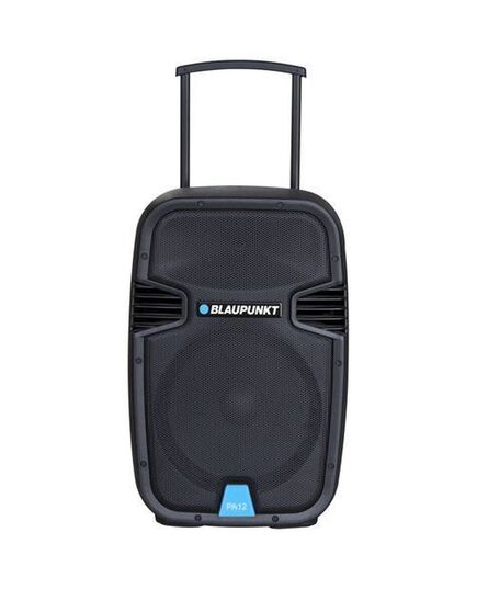 КОЛОНКИ BLAUPUNKT PA12