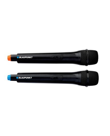 КОЛОНКИ BLAUPUNKT PB08DB