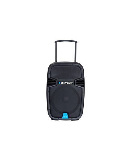 КОЛОНКИ BLAUPUNKT PA12