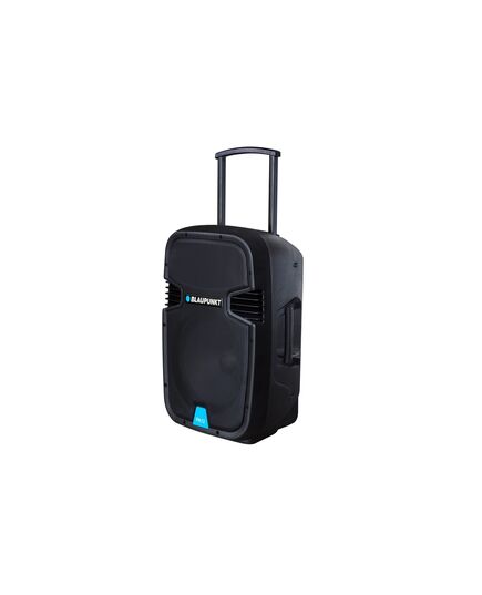 КОЛОНКИ BLAUPUNKT PA12