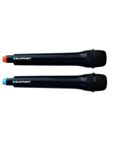 SKAĻRUŅI BLAUPUNKT PB06DB
