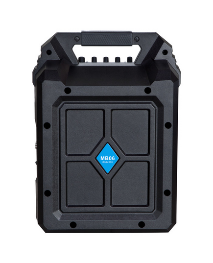 КОЛОНКИ BLAUPUNKT MB06