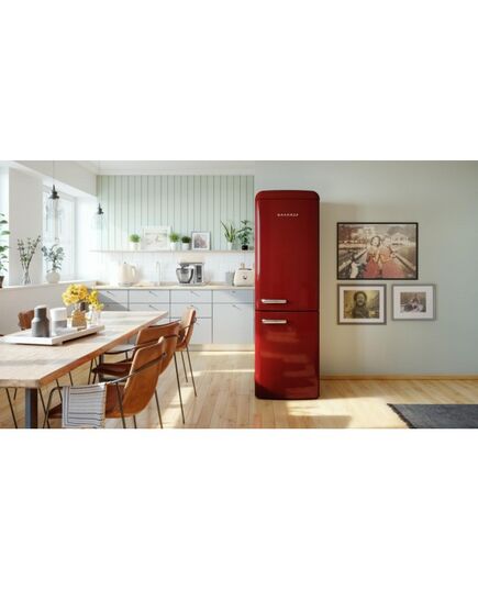 LEDUSSKAPJI GORENJE ONRK619DR